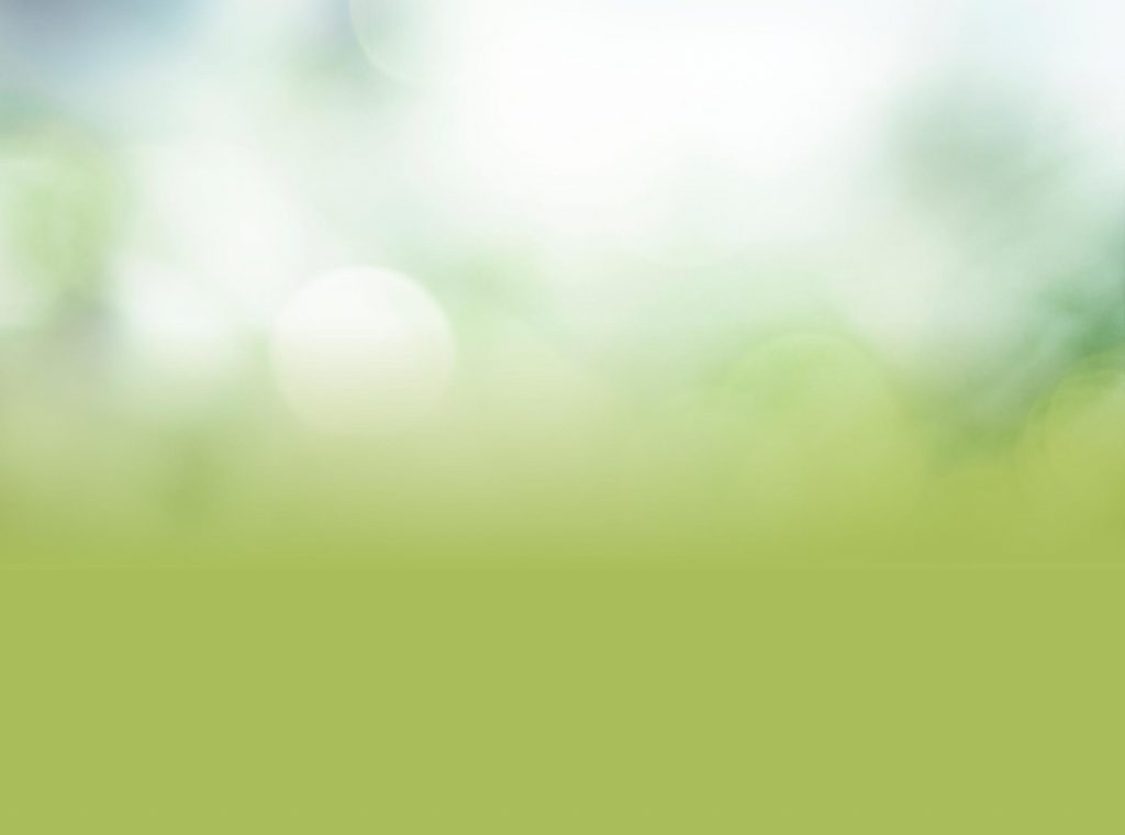 โรงเรียนภัทรเวชสยามแผนไทย (เชียงใหม่)