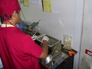 โรงเรียนภัทรเวชสยามแผนไทย (เชียงใหม่)