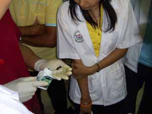 โรงเรียนภัทรเวชสยามแผนไทย (เชียงใหม่)