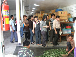 โรงเรียนภัทรเวชสยามแผนไทย (เชียงใหม่)