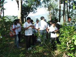 โรงเรียนภัทรเวชสยามแผนไทย (เชียงใหม่)