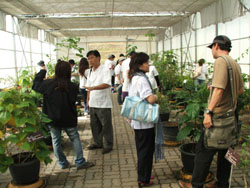 โรงเรียนภัทรเวชสยามแผนไทย (เชียงใหม่)