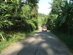 โรงเรียนภัทรเวชสยามแผนไทย (เชียงใหม่)