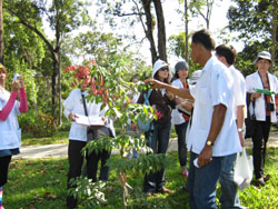 โรงเรียนภัทรเวชสยามแผนไทย (เชียงใหม่)