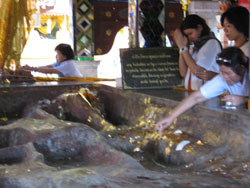 โรงเรียนภัทรเวชสยามแผนไทย (เชียงใหม่)