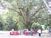 โรงเรียนภัทรเวชสยามแผนไทย (เชียงใหม่)