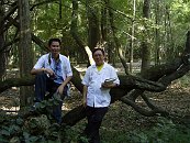 โรงเรียนภัทรเวชสยามแผนไทย (เชียงใหม่)