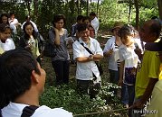 โรงเรียนภัทรเวชสยามแผนไทย (เชียงใหม่)