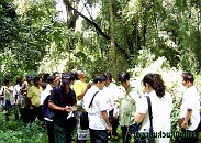 โรงเรียนภัทรเวชสยามแผนไทย (เชียงใหม่)