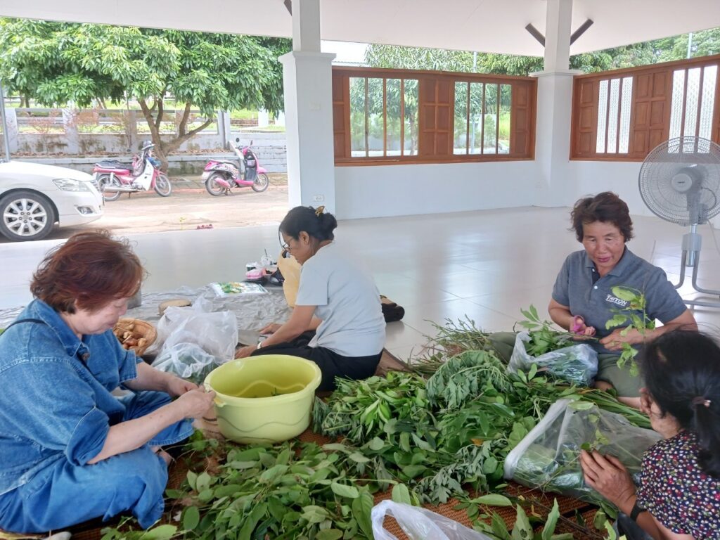 โรงเรียนภัทรเวชสยามแผนไทย (เชียงใหม่)