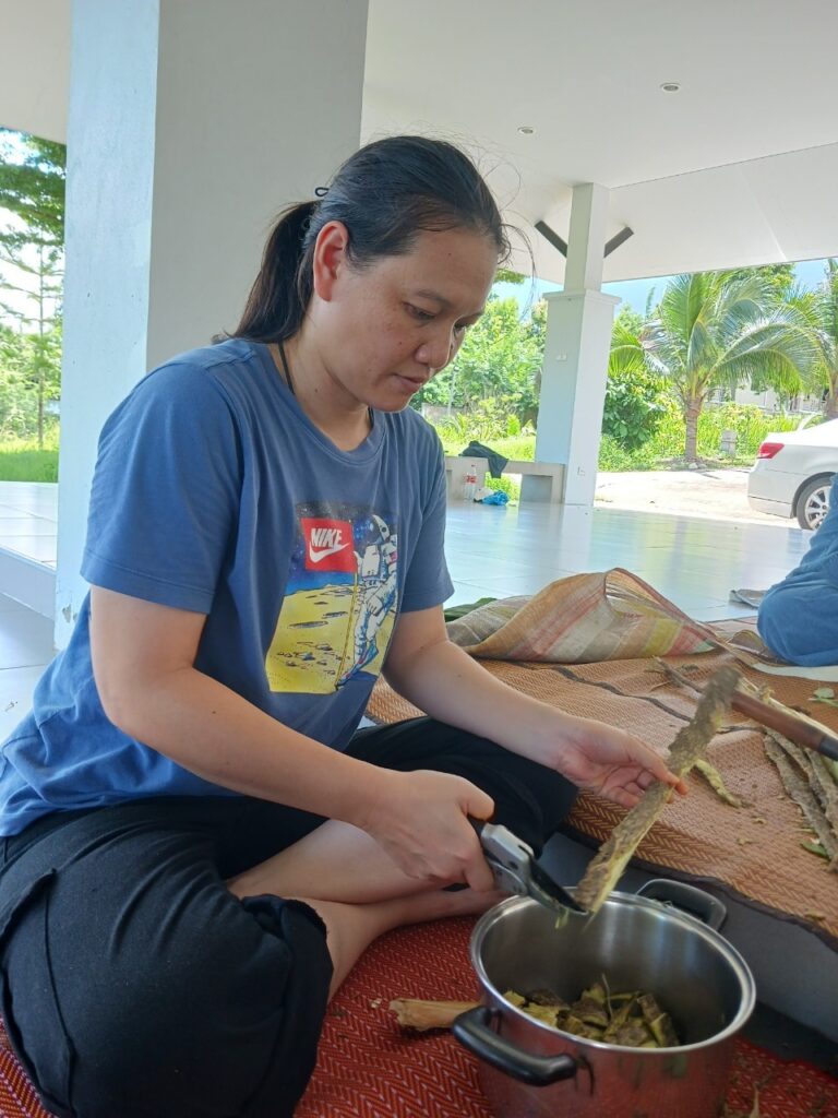 โรงเรียนภัทรเวชสยามแผนไทย (เชียงใหม่)